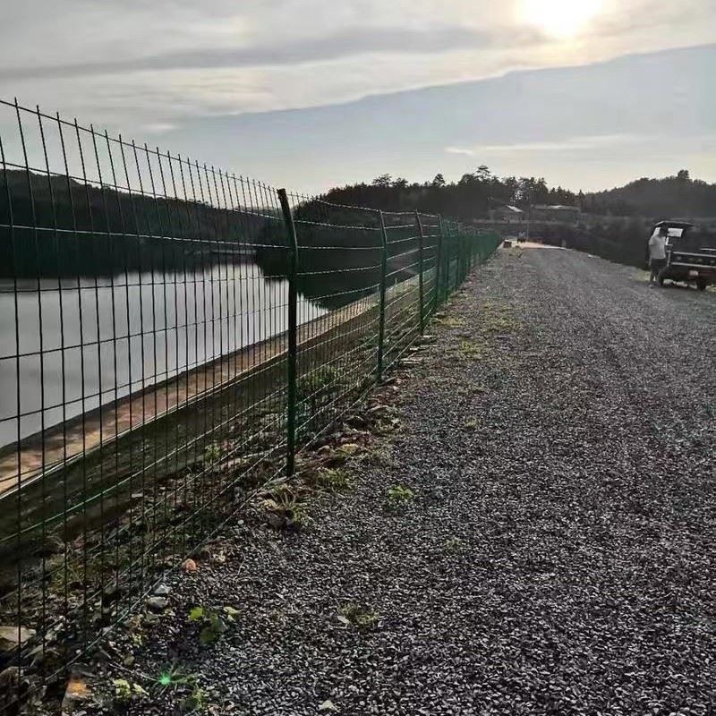 Double Wire Mesh Fence best