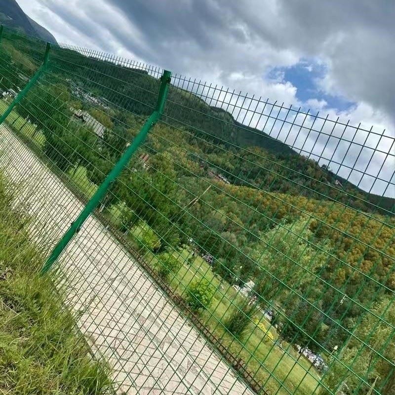 Double Wire Mesh Fence suppliers