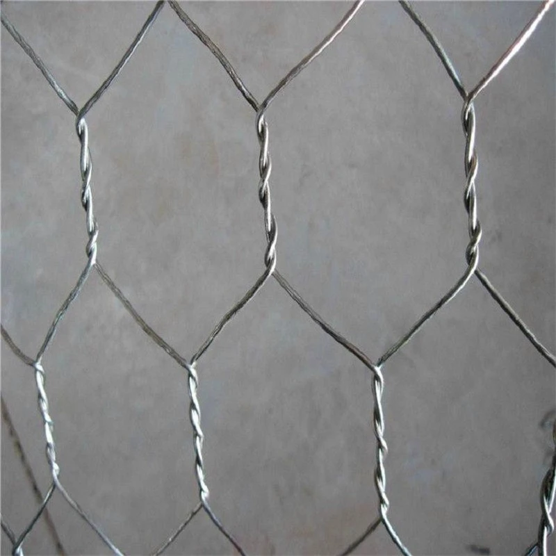 Hexagonal Steel Mesh price