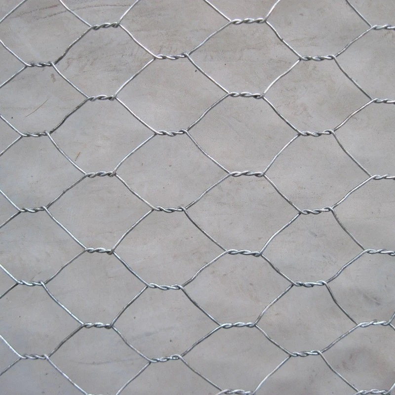 Hexagonal Steel Mesh suppliers