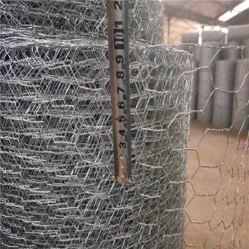 product-800-800 product-800-800